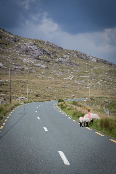 Driving around Ireland Dublin, Galway, Killarney, Cork and back | Lens: EF85mm f/1.8 USM (1/400s, f7.1, ISO100)
